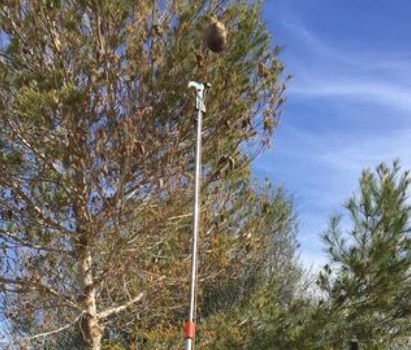 hsm exclusive mallorca prozessionsspinner 02