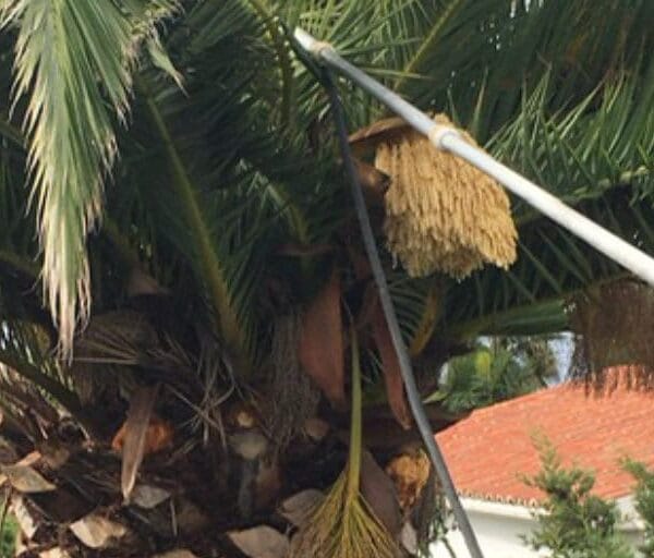 hsm exclusive mallorca