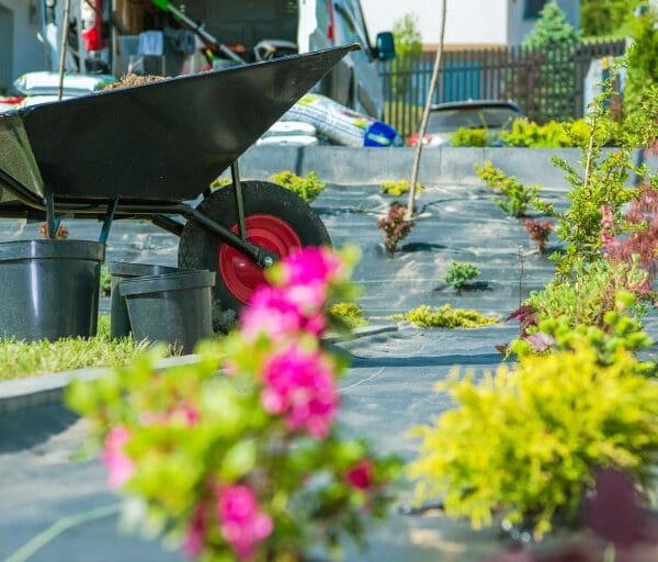 mallorca garten umgestaltung