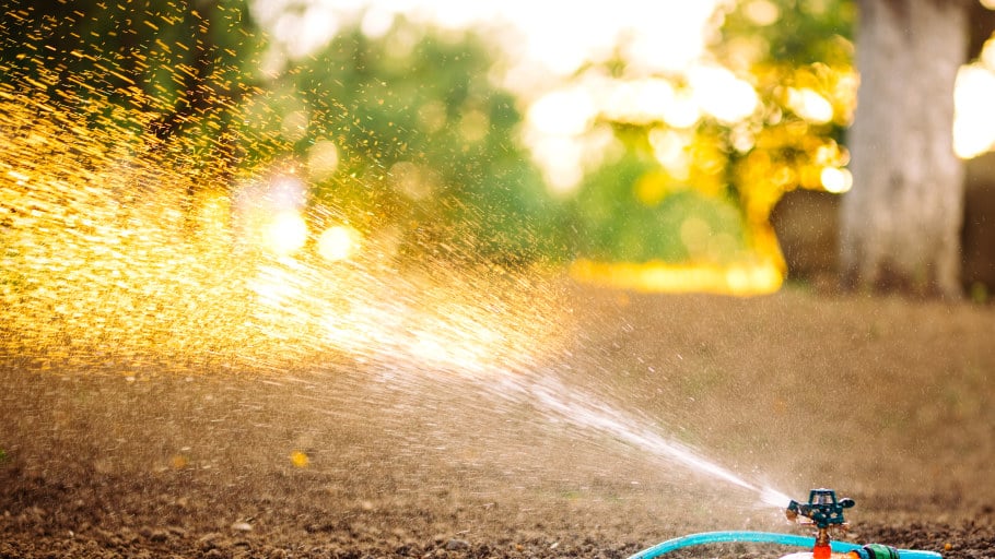 Sommerhitze - Umweltschonende Gartenbewässerung