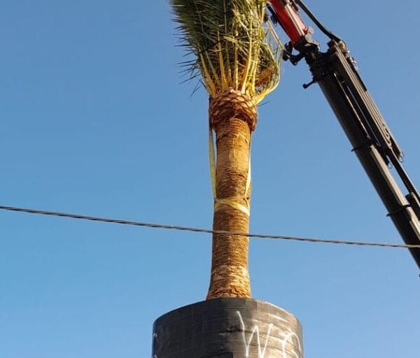 hsm exclusive mallorca