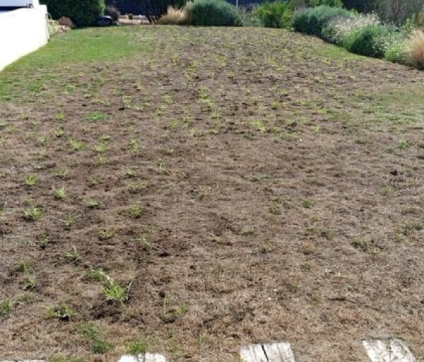 hsm exclusive mallorca grama rasen 03