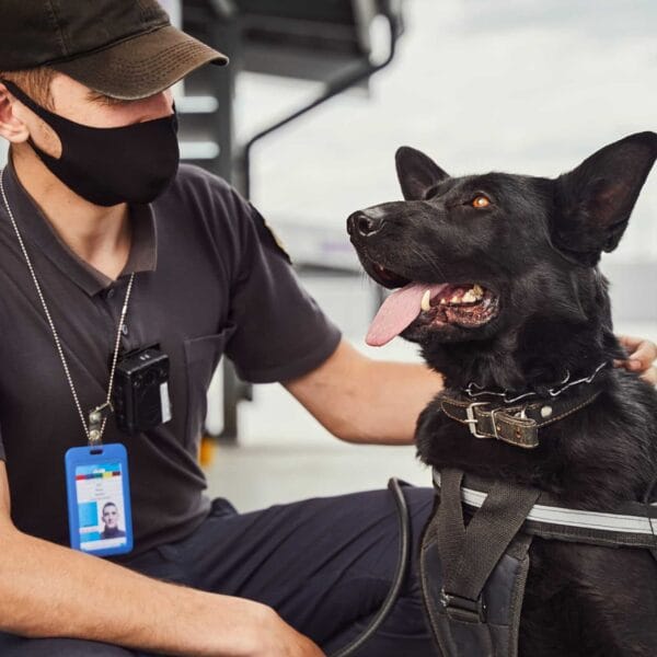 hsm exclusive mallorca sicherheitsdienst