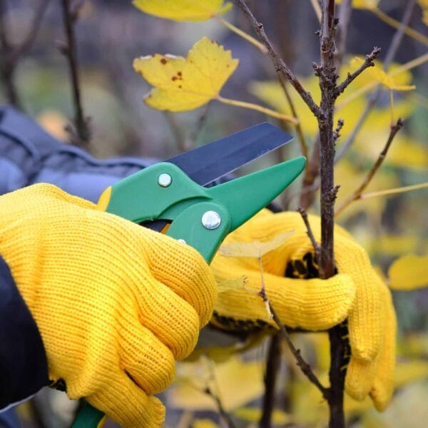 hsm exclusive mallorca gartenpflege mallorca 01