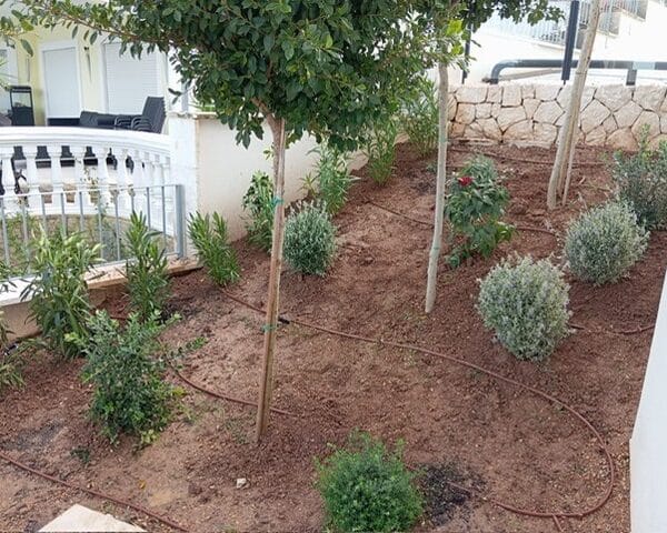 hsm exclusive garten bepflanzung 03 24