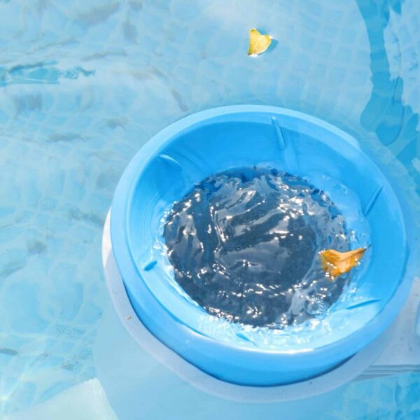 hsm exclusive poolservice 01