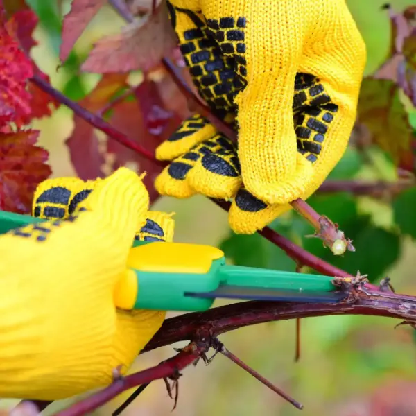 hsm exclusive gartenpflege mallorca 01 25