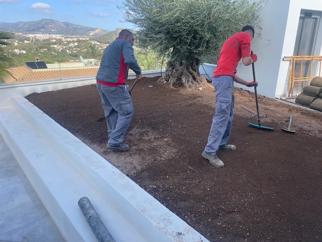 hsm exclusive mallorca pflanzbeet terrasse 09 25 004